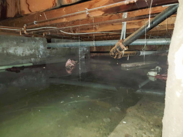 Best 24/7 water damage repair  in Terra Alta, WV