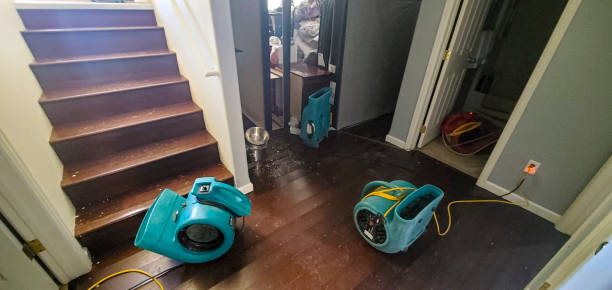 Terra Alta, WV Water damage restoration Company