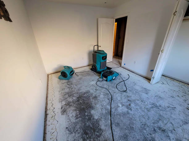Best Commercial water damage restoration  in Terra Alta, WV