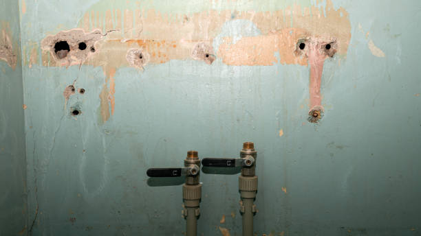 Best 24-hour water damage restoration  in Terra Alta, WV