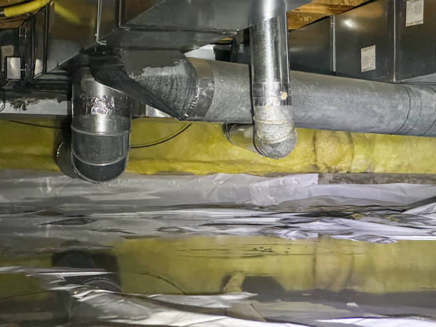 Best Water damage restoration near me  in Terra Alta, WV