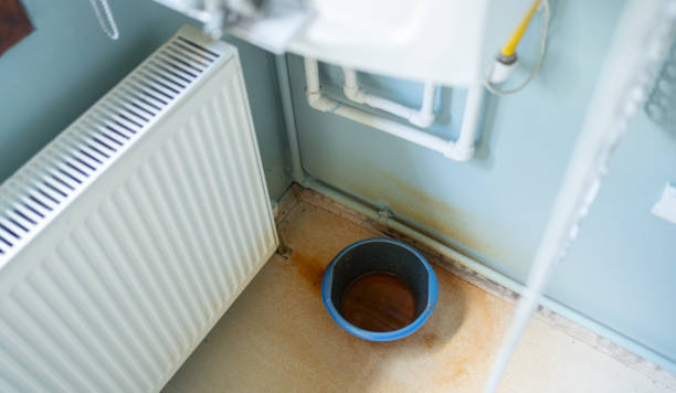 Best Water damage restoration near me  in Terra Alta, WV