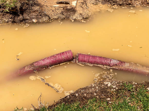 Best Water damage contractors near me  in Terra Alta, WV